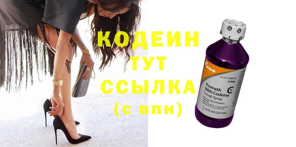ГАЛЛЮЦИНОГЕННЫЕ ГРИБЫ Корсаков
