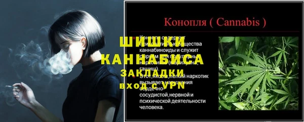 ГАЛЛЮЦИНОГЕННЫЕ ГРИБЫ Корсаков