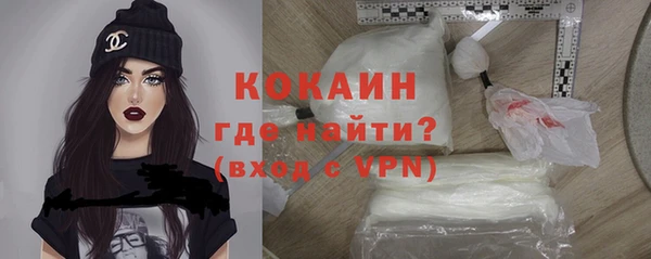 ГАЛЛЮЦИНОГЕННЫЕ ГРИБЫ Корсаков