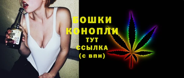 ГАЛЛЮЦИНОГЕННЫЕ ГРИБЫ Корсаков