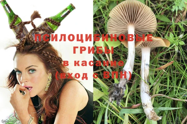 ГАЛЛЮЦИНОГЕННЫЕ ГРИБЫ Корсаков