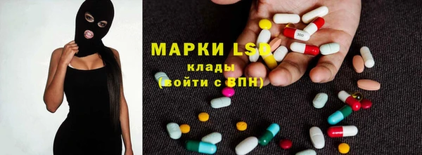 ГАЛЛЮЦИНОГЕННЫЕ ГРИБЫ Корсаков